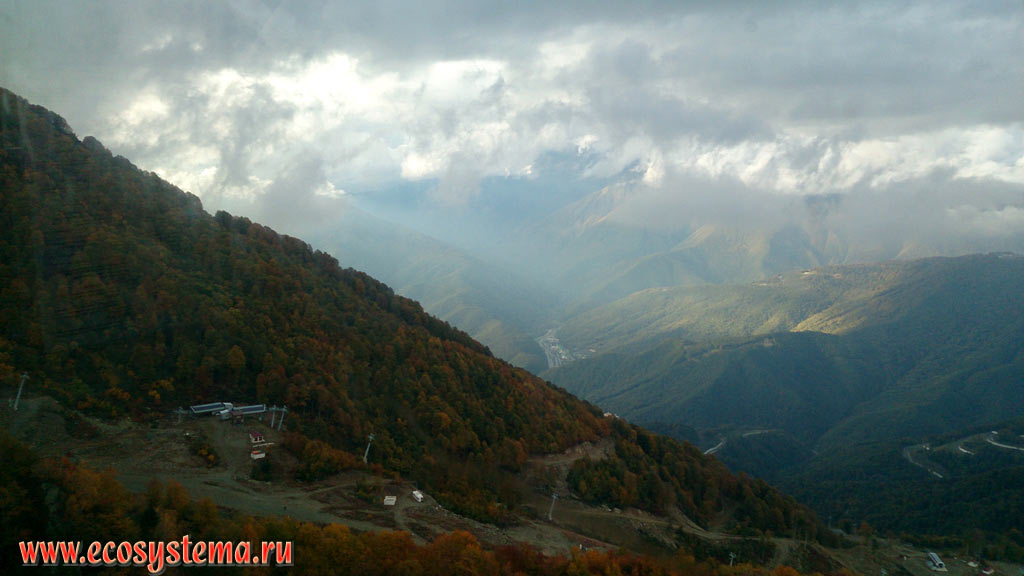 Панорама горных хребтов Западного Кавказа, покрытых широколиственными лесами в зоне горнолыжного курорта Роза Хутор в летний период года