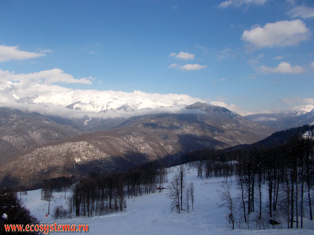 Panorama of the mountain ranges of the Western Caucasus and the territory of the Caucasian State Nature Biosphere Reserve, covered with deciduous forests