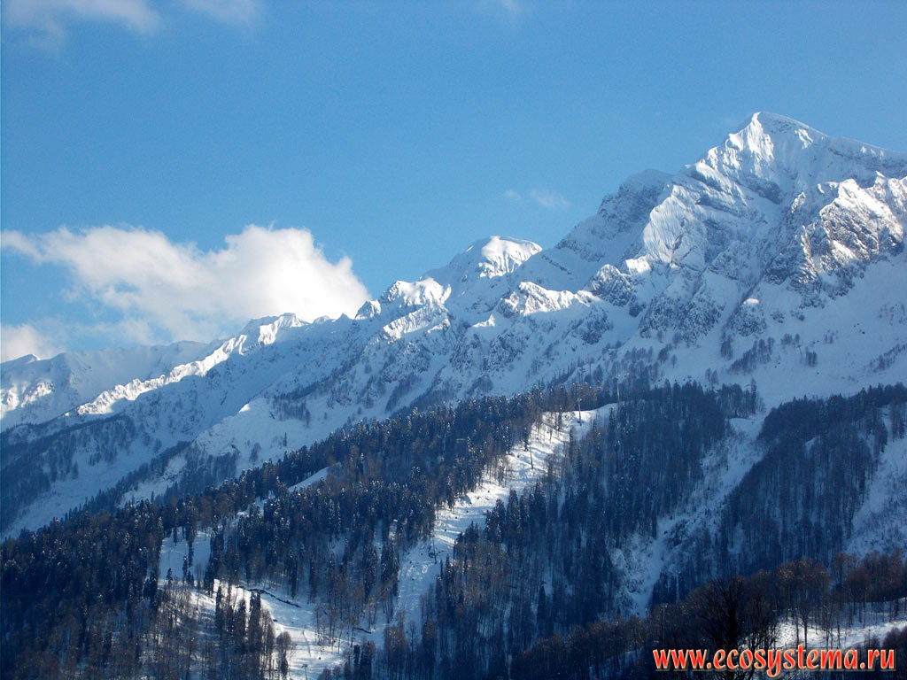 Горный хребет Аибга горной системы Западного Кавказа с хорошо выраженной высотной поясностью - темнохвойными (еловыми) лесами в средней части склона и субальпийскими лугами у вершин