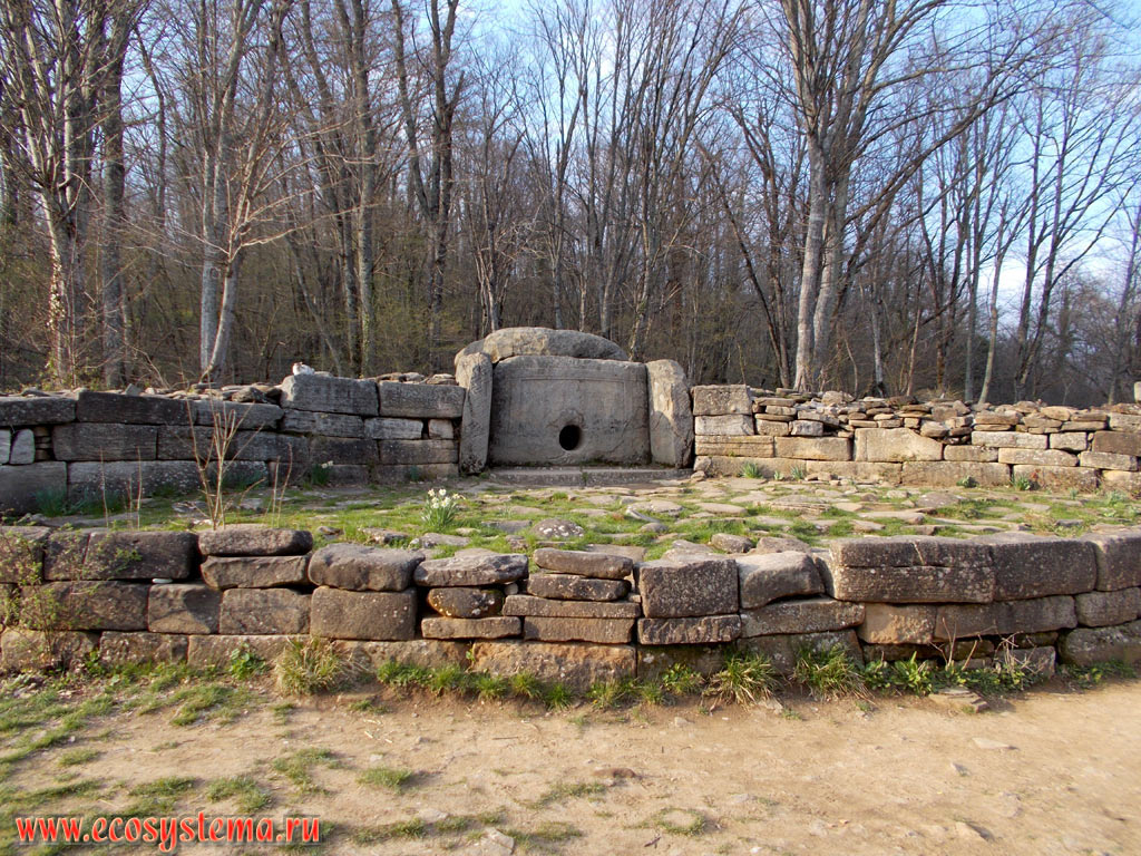 Дольмены Западного Кавказа - мегалитические (каменные) гробницы бронзового века возрастом около 5 тысяч лет. Долина реки Жане