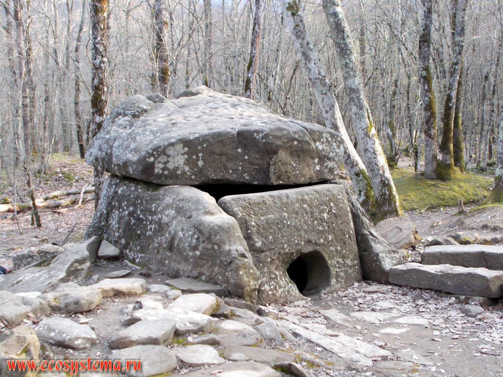 Дольмен Западного Кавказа - мегалитическая (каменная) гробница бронзового века возрастом около 5 тысяч лет