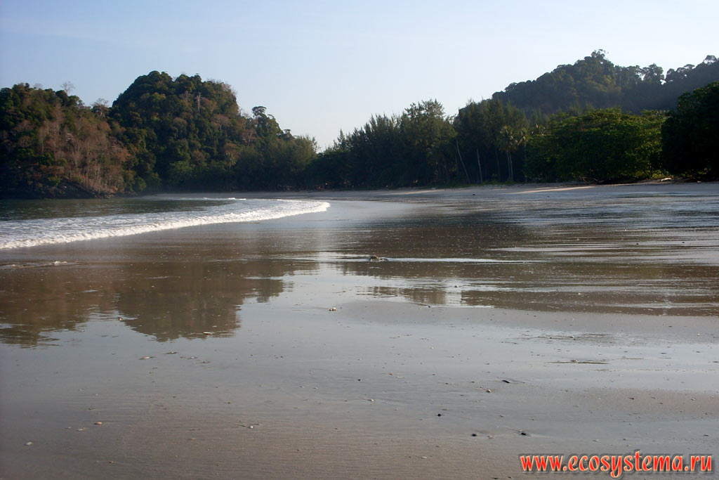 Molae sandy beach (Ao Molae, Molae Bay) at low tide in the West of the Tarutao Island (Koh Tarutao), on the coast of the Malacca Strait of Andaman Sea