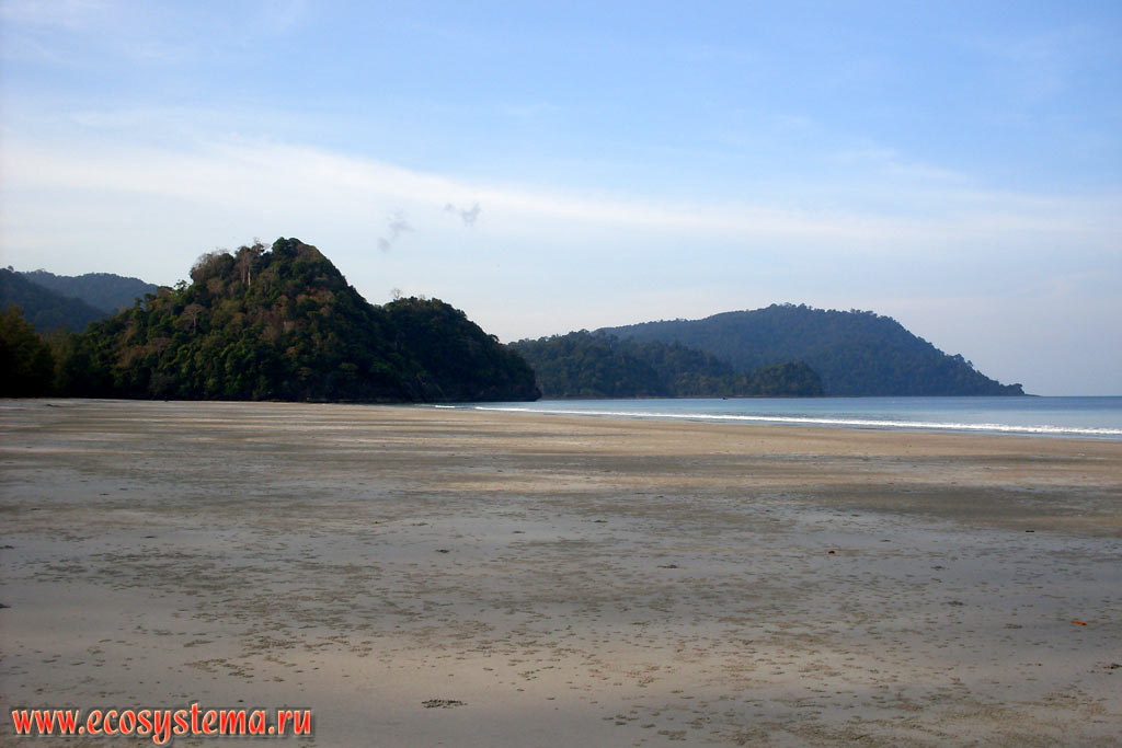 Wide sandy Molae beach (Ao Molae, Molae Bay) at low tide on the West coast of the Tarutao Island (Koh Tarutao), on the coast of the Malacca Strait of Andaman Sea