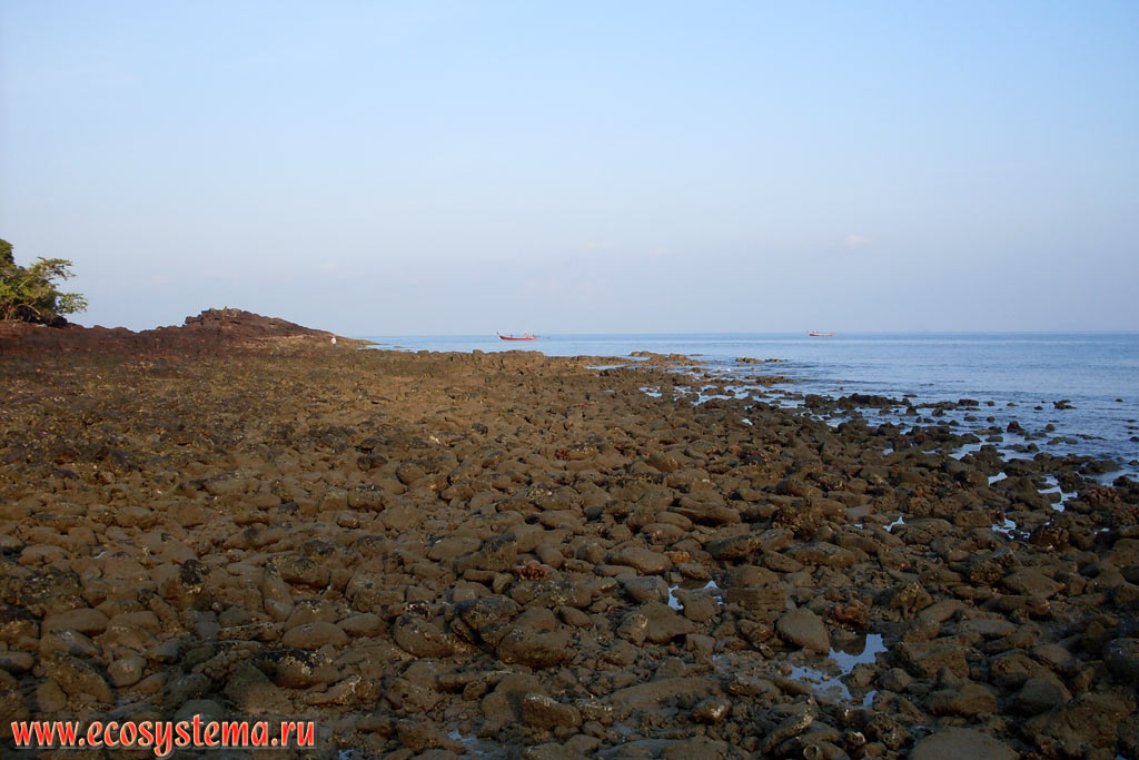 Littoral zone in the Molae Bay (Ao Molae) during low tide on the coast of the Malacca Strait of Andaman Sea