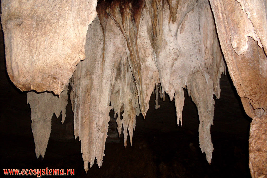 Молодые (нарастающие) сталактиты в Крокодиловой пещере (Crocodile Cave) на севере острова Тарутао (Koh Tarutao)