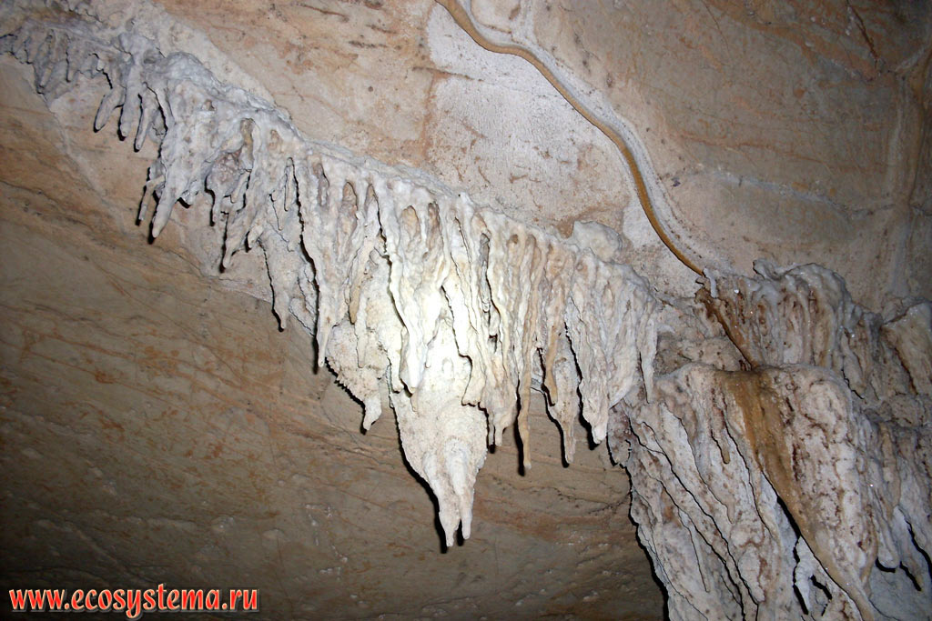 Молодые (нарастающие) известковые натёки - сталактиты в Крокодиловой пещере (Crocodile Cave) на севере острова Тарутао (Koh Tarutao). Национальный парк Тарутао