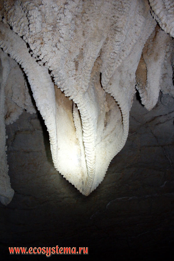 Молодые (нарастающие) известковые натёчные образования - сталактиты в Крокодиловой пещере (Crocodile Cave) на севере острова Тарутао (Ko Tarutao)