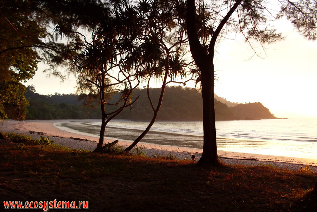 Beautiful sunset in the Molae Bay (Ao Molae) on the coast of the Malacca Strait of Andaman Sea