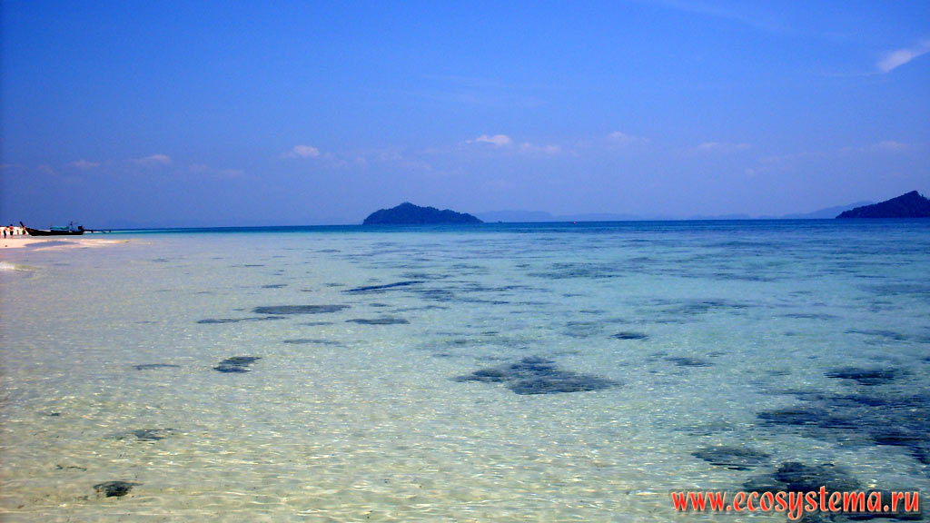 Литоральная зона на острове Булон Лае (Koh Bulon Lae) в Малаккском проливе Андаманского моря