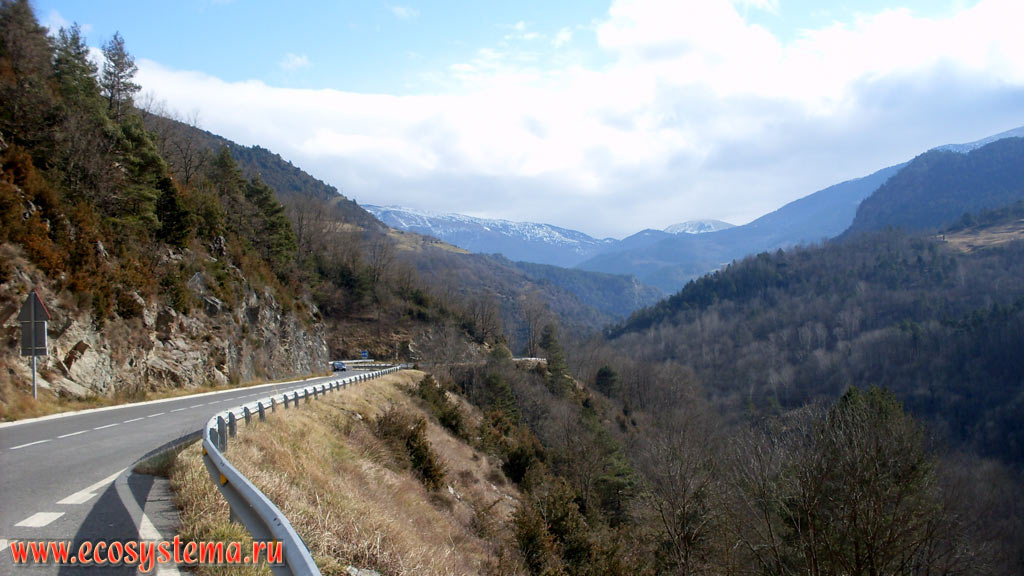 Пиренейские горы, покрытые смешанными лесами в районе горнолыжного курорта Фон-Ромё (Font-Romeu-Odeillo-Via) в зоне среднегорья