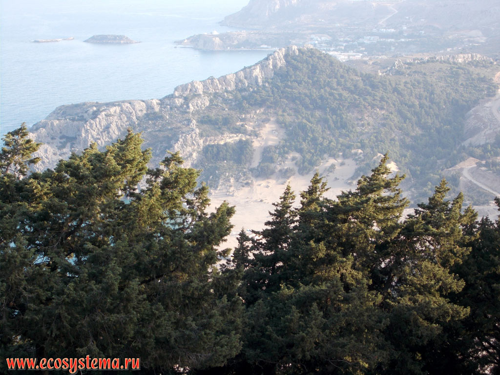 View on the Tsampika Beach, capes and bays of the Mediterranean Sea, the island of Archangelos in the distance and light coniferous forest with a predominance of Juniper trees (Juniperus) in the foreground