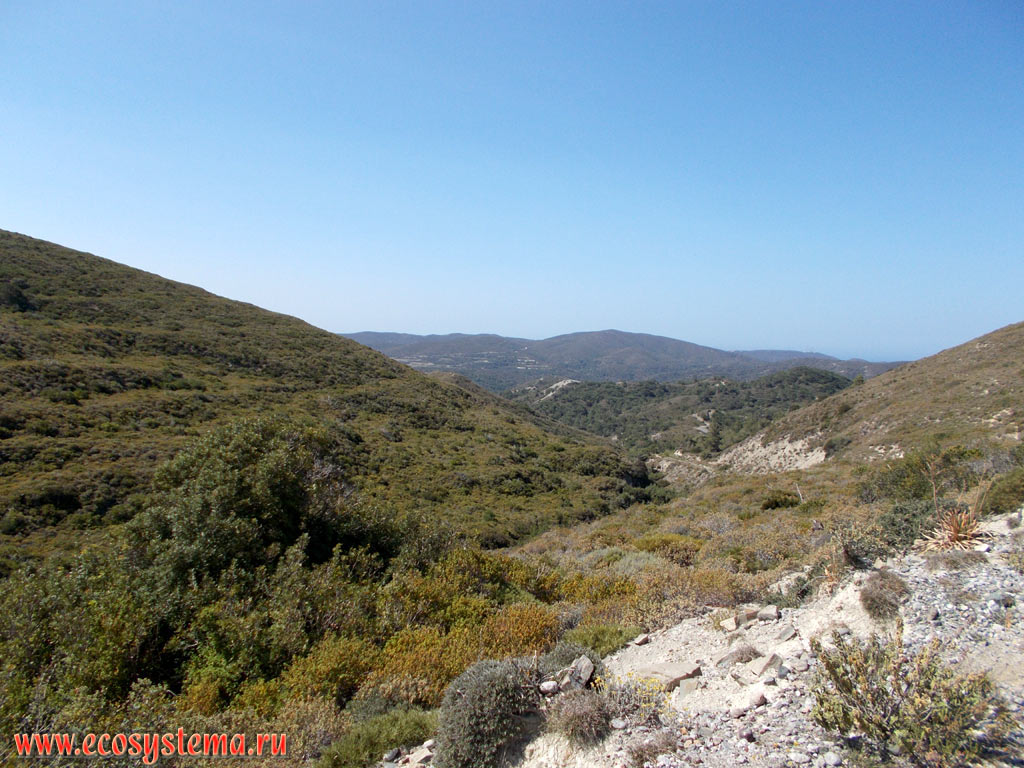 The low-mountain landscape of the Eastern (Mediterranean) coast of Rhodes covered with the Garrigue (phrygana) - a sparse plant community with predominance of low-growing, mainly evergreen xerophytic shrubs and dwarf shrubs in the area of the city of Faliraki