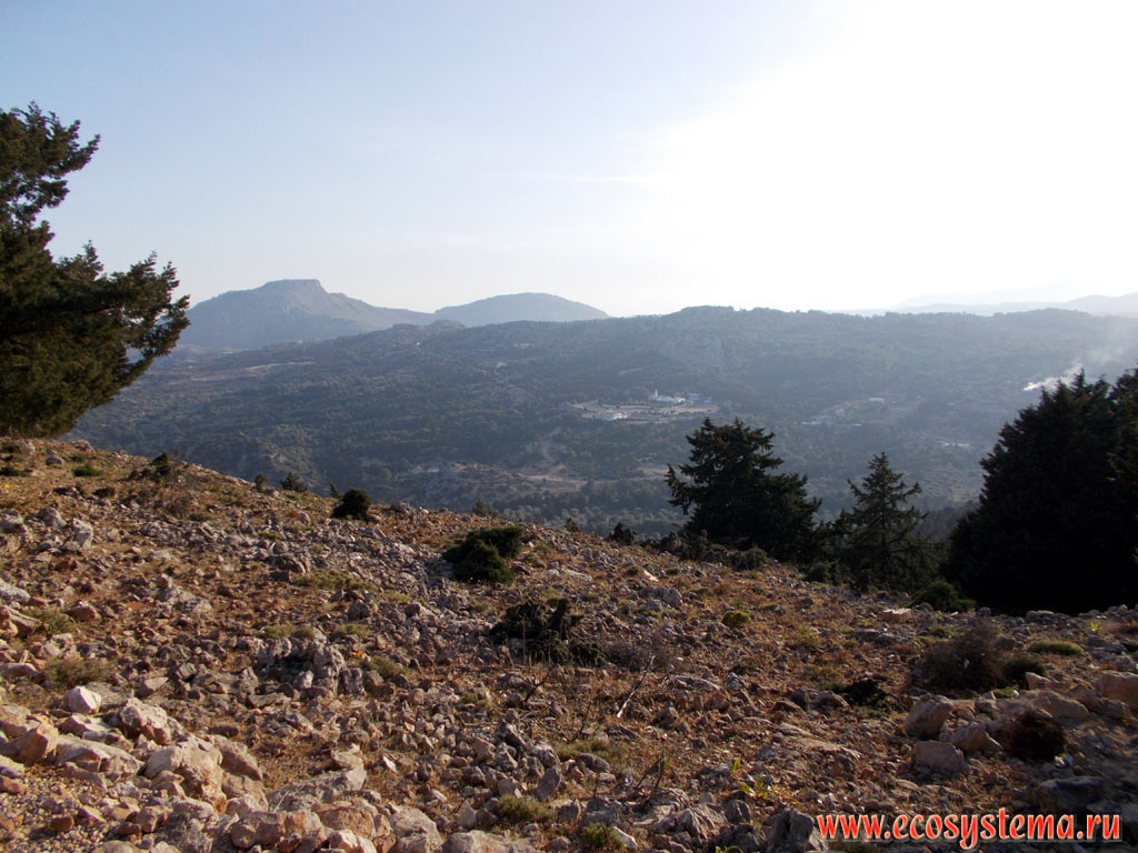 Low-mountain landscape of the Eastern (Mediterranean) coast of the island of Rhodes with light coniferous forests with predominance of Pine (Pinus) and Juniper trees (Juniperus)