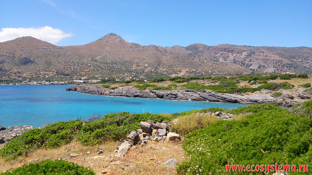 Глубокий залив (бухта) Средиземного (Критского) моря с ярко-голубой водой на побережье острова Крит со средневысотными горами, покрытыми фриганой и шибляком
