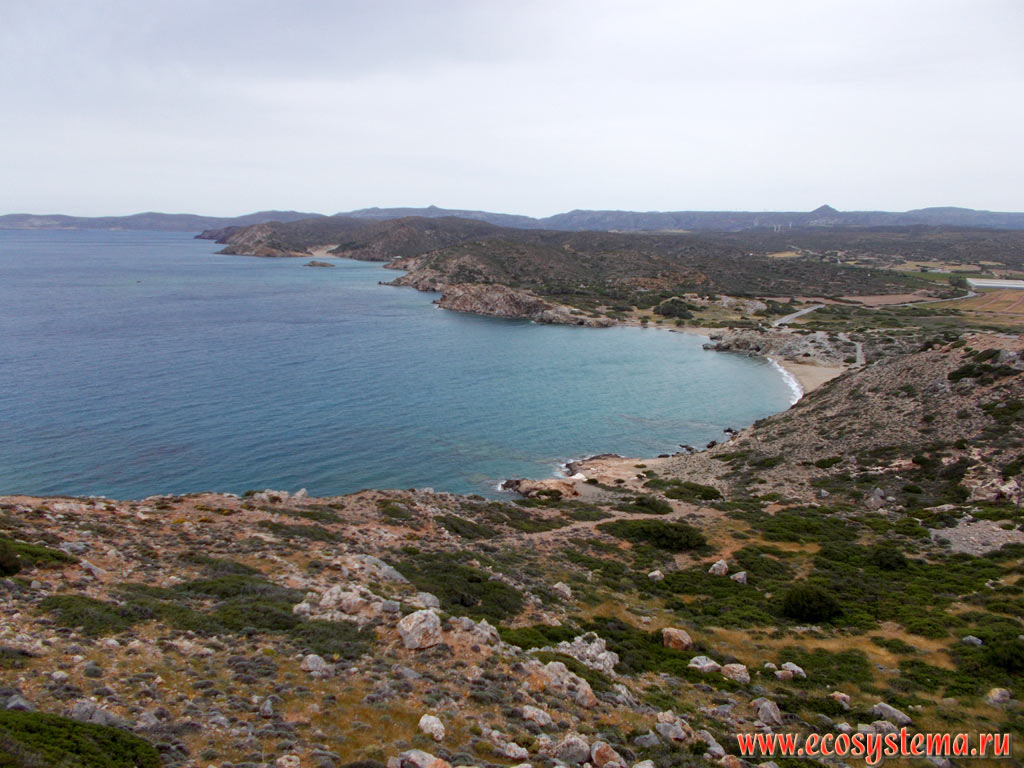 Vai Bay in the furthest Eastern part of the island of Crete, and the coast of the Peninsula of Sitia, covered with phrygana (garrigue) - a sparse plant community with predominance of low-growing, mainly evergreen xerophytic shrubs, subshrubs and dwarf shrubs