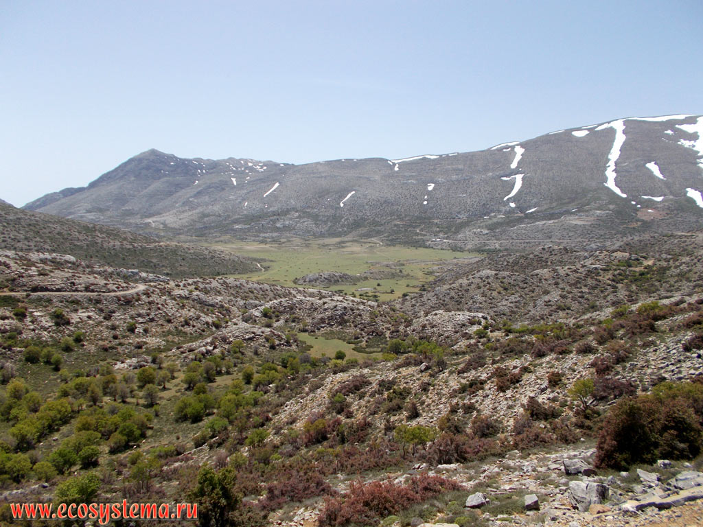 The slopes of a Dikti, or Dicte mountain chain, covered with phrygana (garrigue) - the plant community with predominance of low-growing shrubs, subshrubs and dwarf shrubs