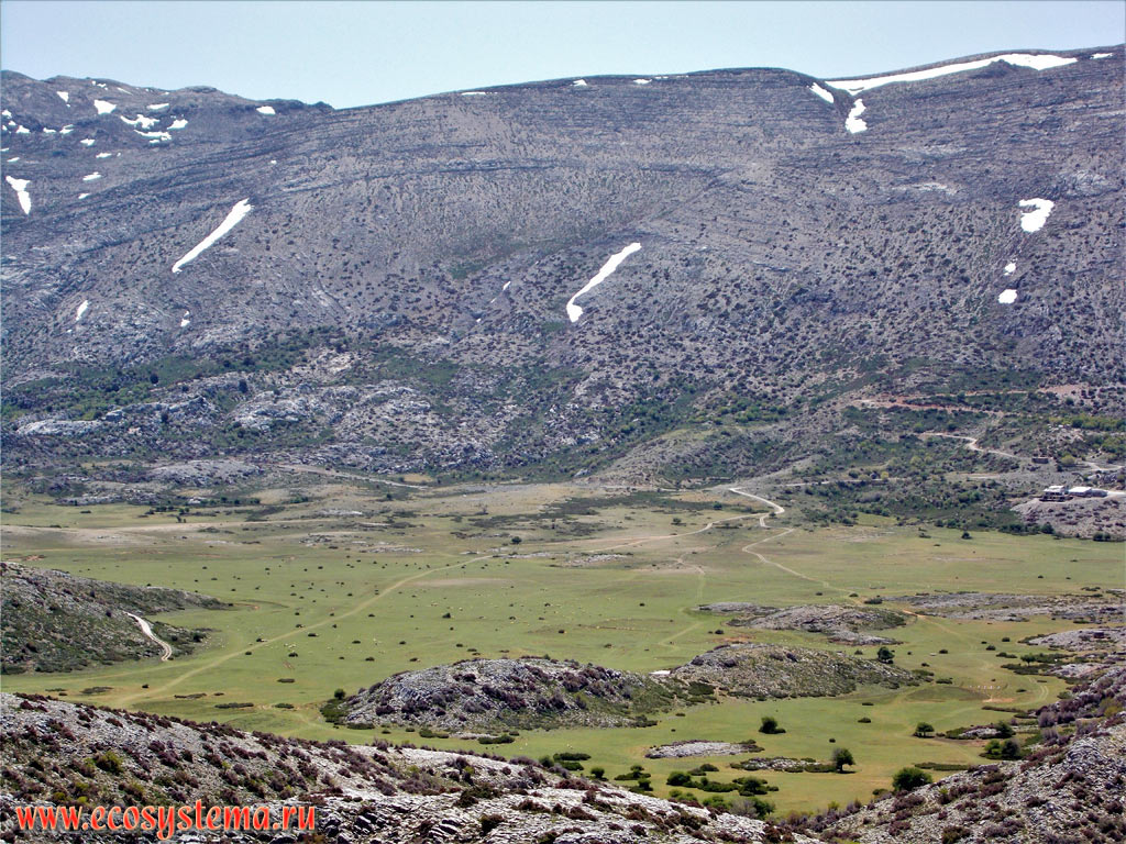 The slopes of a Dikti, or Dicte mountain chain, covered with phrygana (garrigue) - the plant community with predominance of low-growing shrubs, subshrubs and dwarf shrubs and the pasture on the Lasithi upland plateau