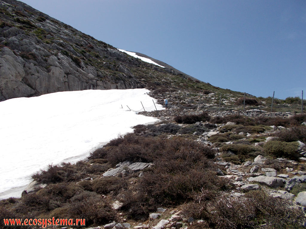 Melting spring snow on the slopes of the Dikti, or Dicte mountain chain, covered with phrygana (garrigue) - the plant community with predominance of low-growing shrubs, subshrubs and dwarf shrubs at the edge of the Lasithi mountainous plateau