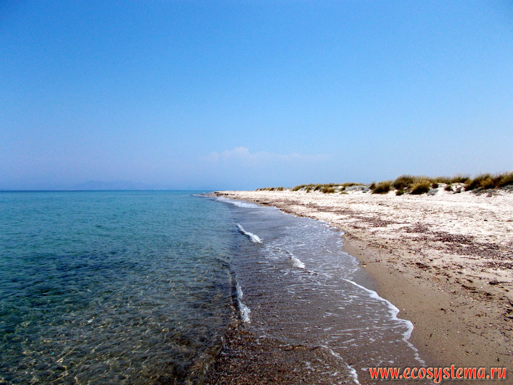 Дикий, незатронутый антропогенной деятельностью, песчаный пляж и песчаные дюны на берегу Эгейского моря