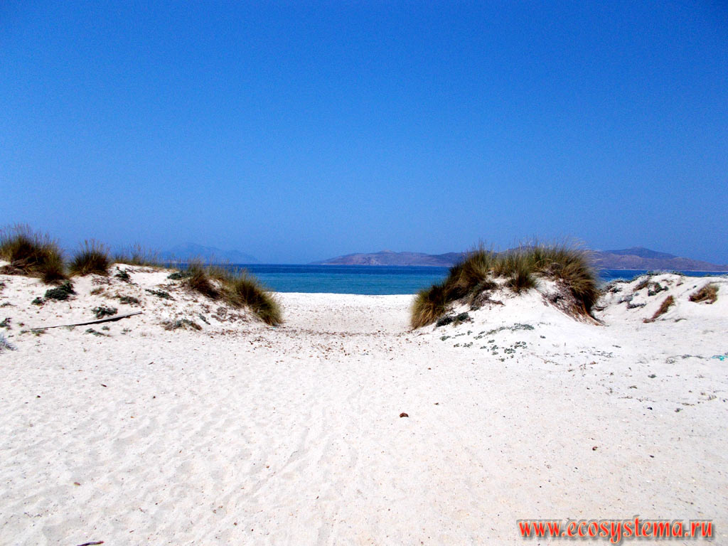 Песчаные дюны и дикий, незатронутый антропогенной деятельностью, песчаный пляж и на берегу Эгейского моря, с островом Псеримос на дальнем плане