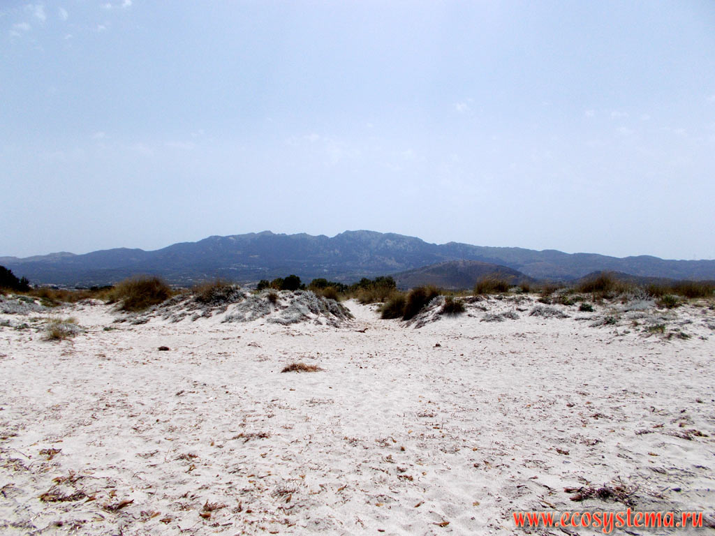 Песчаный пляж и дюны на берегу Эгейского моря с видом на средневысотную горную гряду Дикеос с высотами до 800 метров над уровнем моря