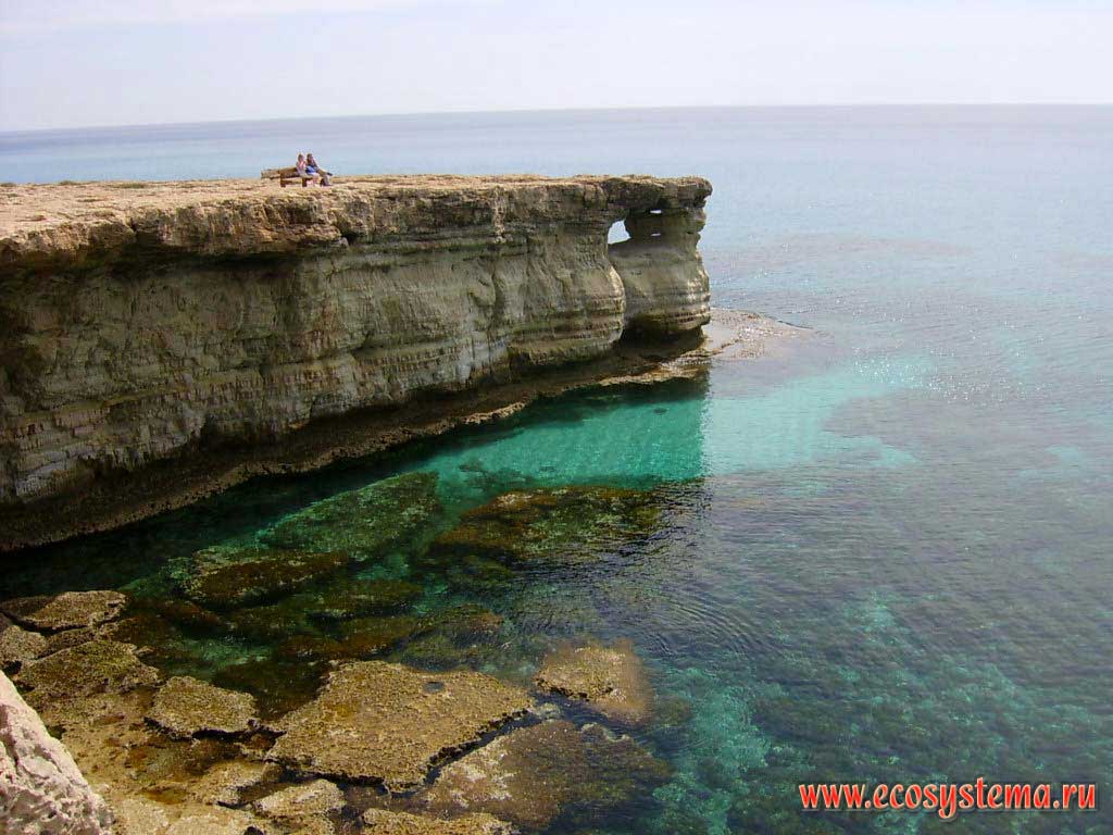 Бухта и абразионный берег Средиземного моря с клифом, волноприбойной нишей и аркой. Средиземноморье, остров Кипр