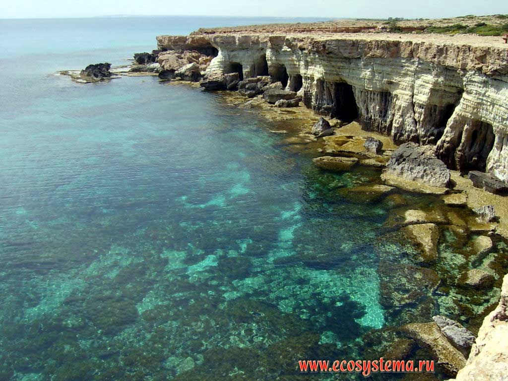 Абразионный берег Средиземного моря с клифом, волноприбойной нишей и пещерами. Средиземноморье, остров Кипр