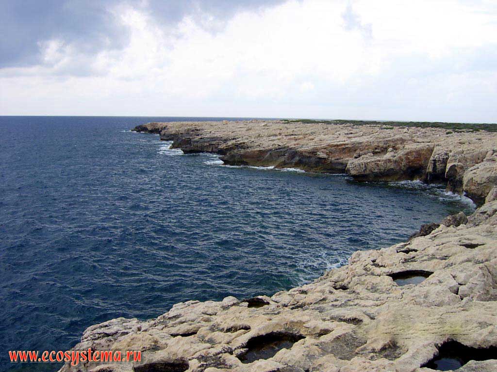 Абразионный берег Средиземного моря с карстовыми явлениями. Скалы на полуострове Акамас (Akamas). Средиземноморье, остров Кипр
