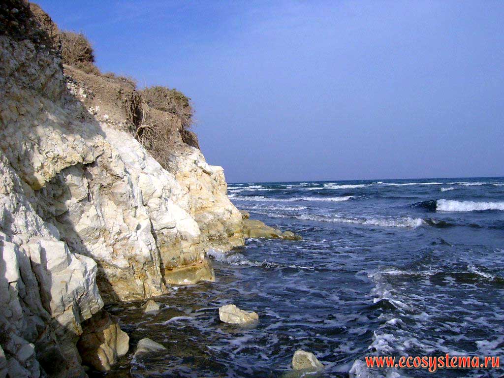 Абразионный берег Средиземного моря с известняковым обрывом - клифом в полосе прибоя. Средиземноморье, остров Кипр
