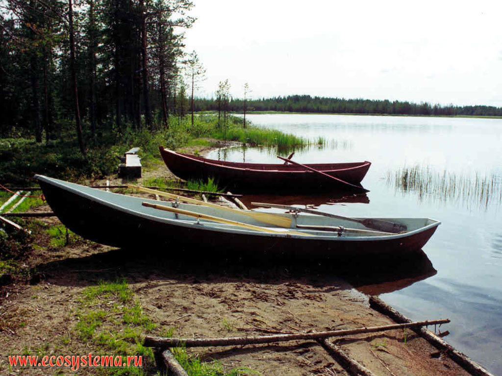 Лодки на берегу равнинного озера. Северная тайга, Лапландия, Фенноскандия