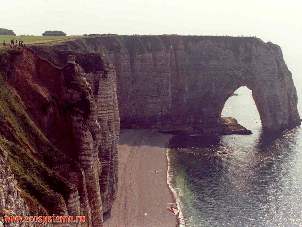 The scarp: sea cliffs with surf niche and sandy beach. Etretat, Normandy, Northwest France