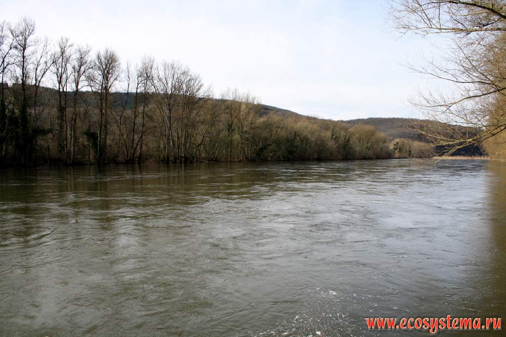 Река Дордонь (Dordogne) и пойменные широколиственные леса (умеренного пояса) на ее берегах.
Западные предгорья Центрального массива (Massif Central). Юг Франции, Ло (Lo, Lot), Суйак (Souillac)