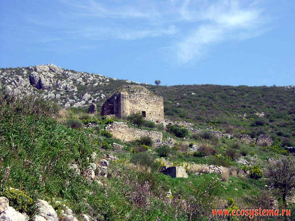 Peloponnes peninsula. Antropogenic-natural landscape.