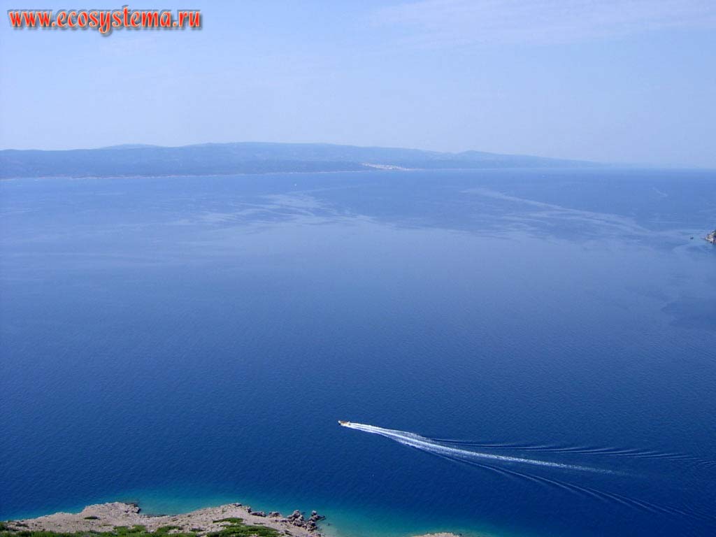 Адриатическое море, вид на Брачский канал (пролив) и остров Брач. Средиземноморье, Балканский полуостров, Средняя Далмация, Хорватия