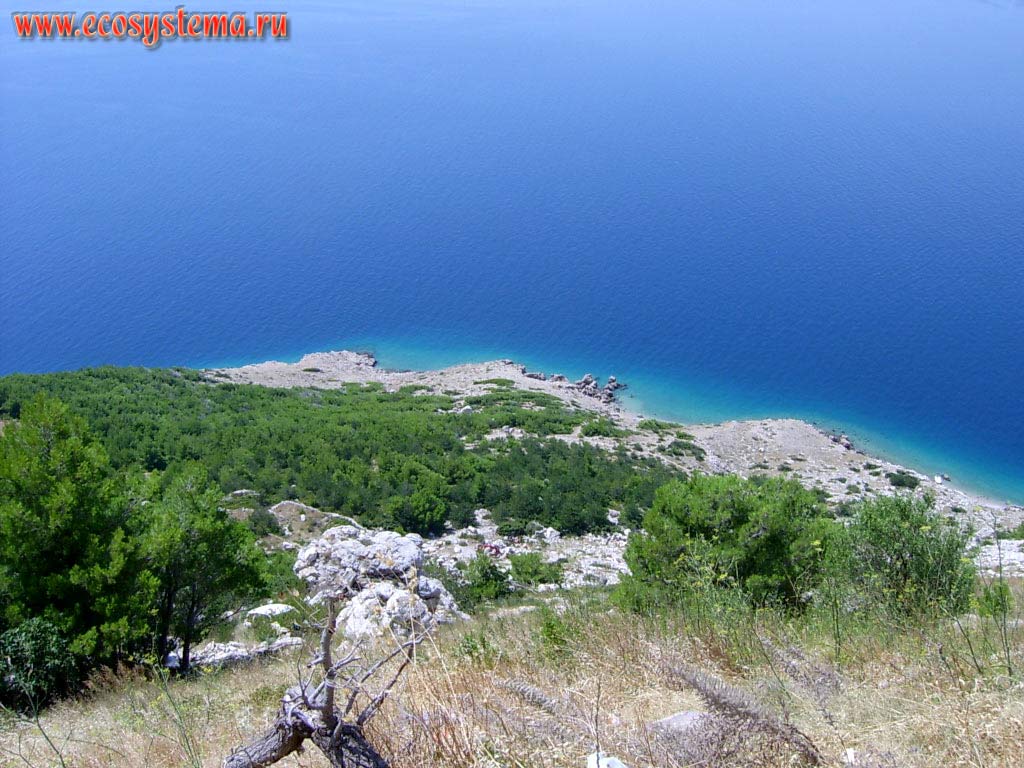 Adriatic coast at Makarska riviera