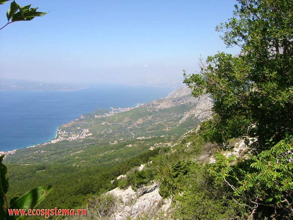 View to Makarska riviera, Baska Voda and Brela towns and Brach island