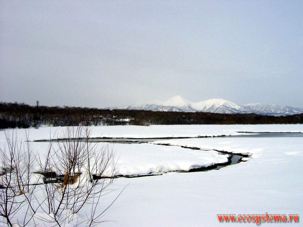 Долина реки Паратунки в окрестностях Петропавловска-Камчатского