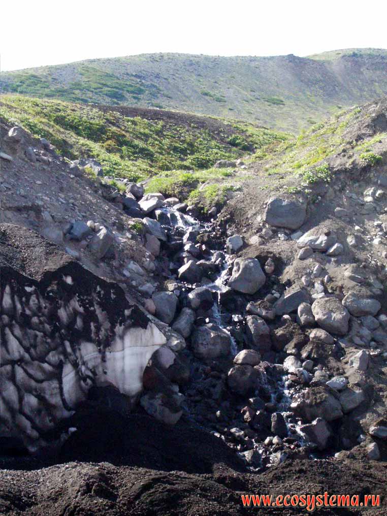 Snowfield in the mountain creek, covered by volcanic ashes
Avachinsky volcano basement (900 м above sea level)