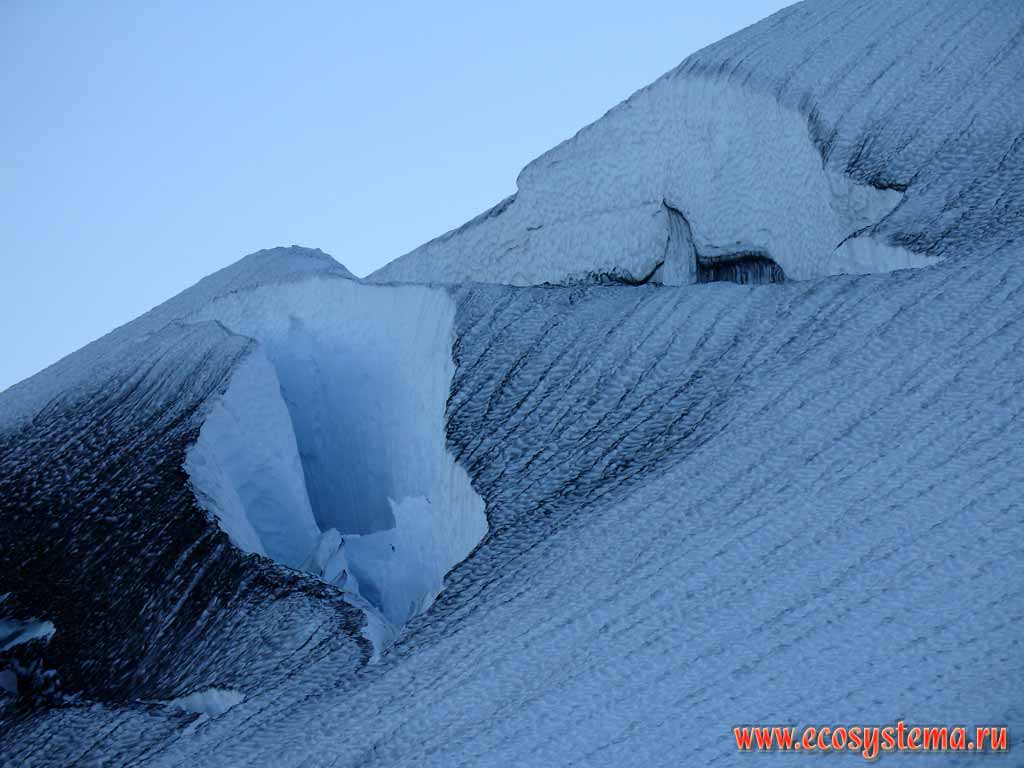 Снежник (фирн), покрытый вулканическим пеплом, сползающий по склону
Авачинской сопки