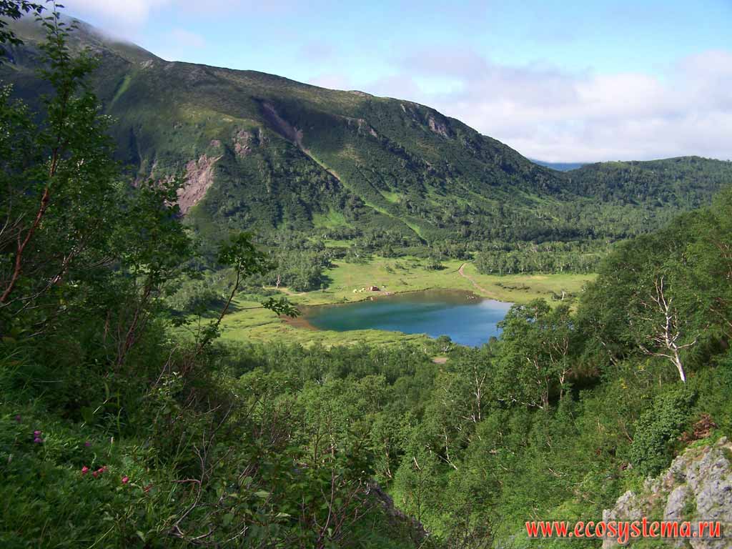 Vochkazhec Lake (600 м above sea level). Erman's Birch forest (Betula ermanii Cham.)
on the nearest mountain slope