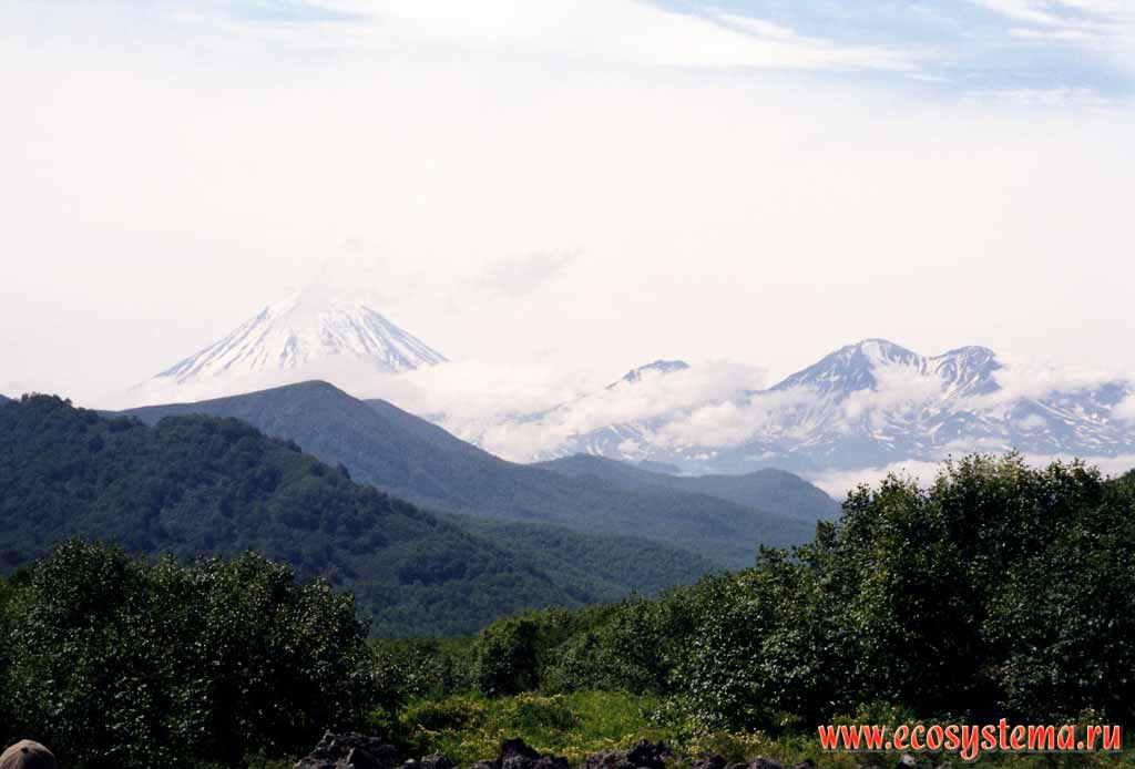 Koriaksky volcano (3456 м, right), Arik (2310 м) and Aag (2166 м) volcanoes
from Nalychevskaya Valley