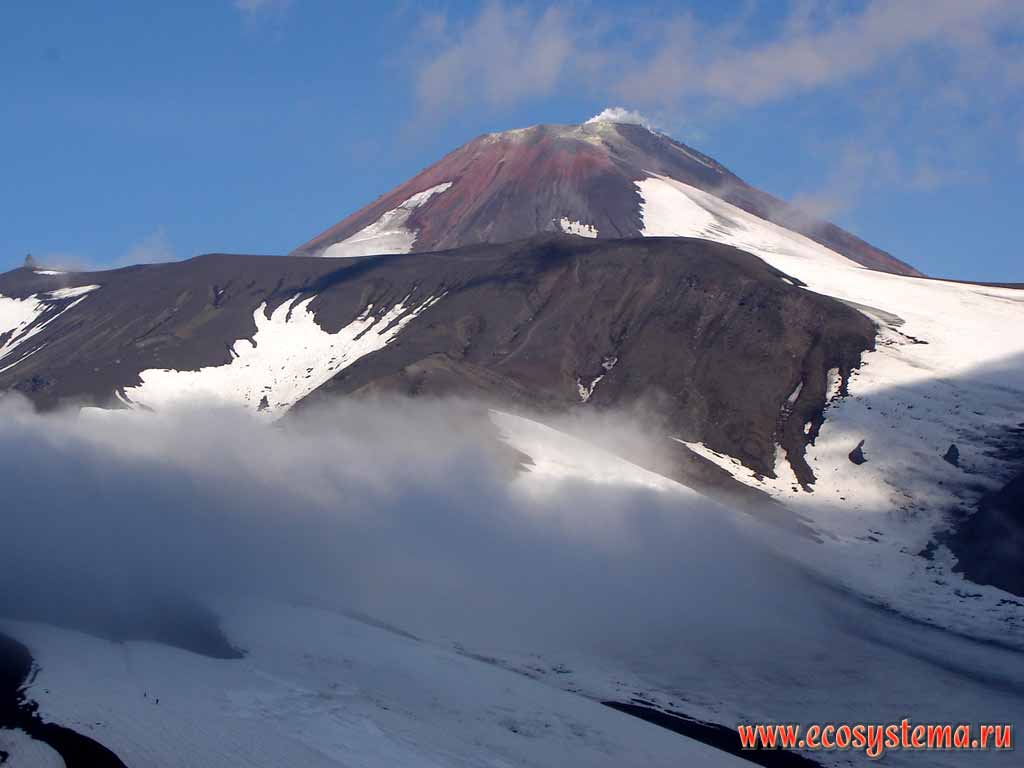 Avachinsky volcano (height 2741 meters): old cone
(somma, or collar) and new cone
(in the distance)