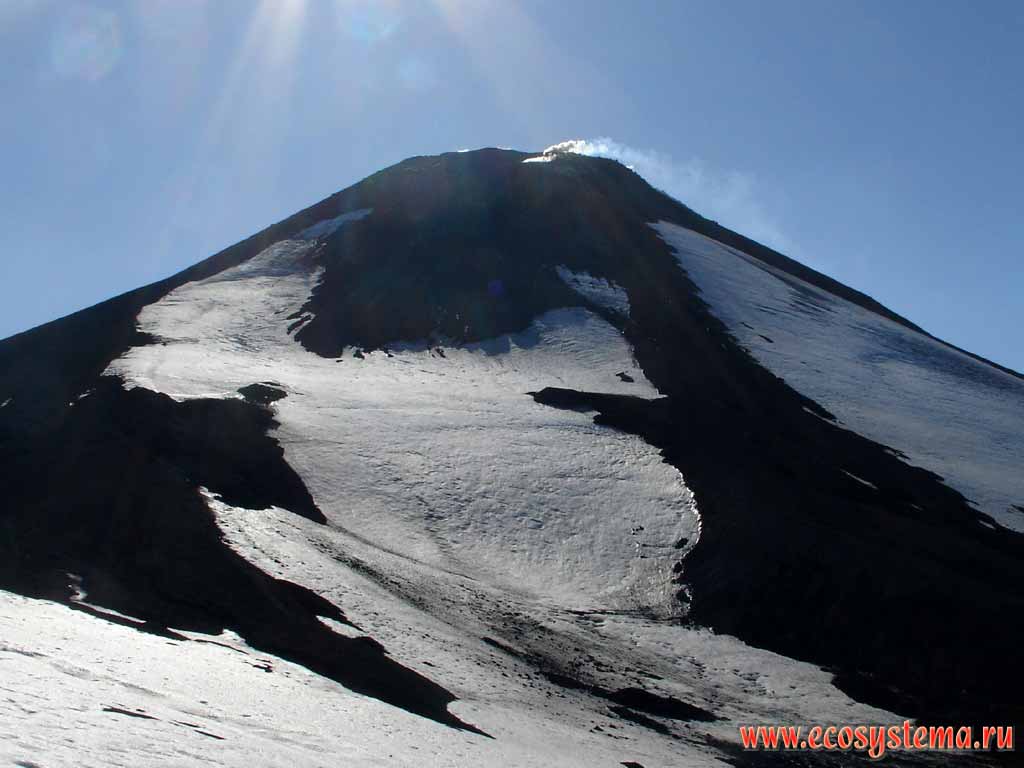 Avachinsky volcano (height 2741 meters).
View to the new cone from the collar (somma, or old cone)