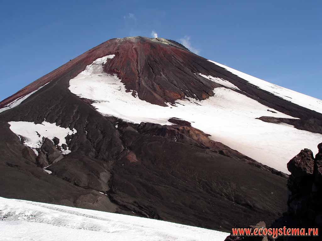 Avachinsky volcano (height 2741 meters).
View to the new cone from the collar
(somma, or old cone)