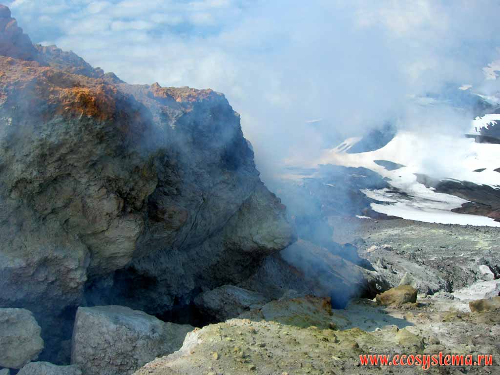 Боковые фумаролы на внешнем склоне кратера вулкана Авачинский