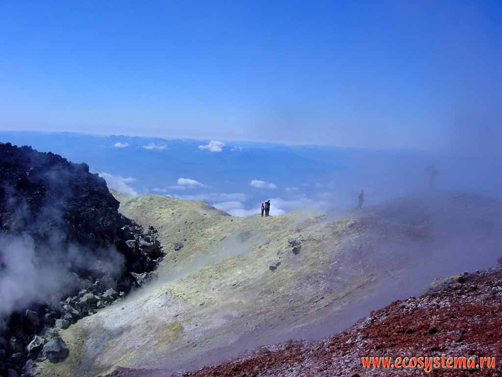 Avachinsky volcano upper crater edge (altitude - 2740 meters above sea level).
Volcano sulfur sediments (yellow), pozzolana (red) and lava stopper (plug)(black)