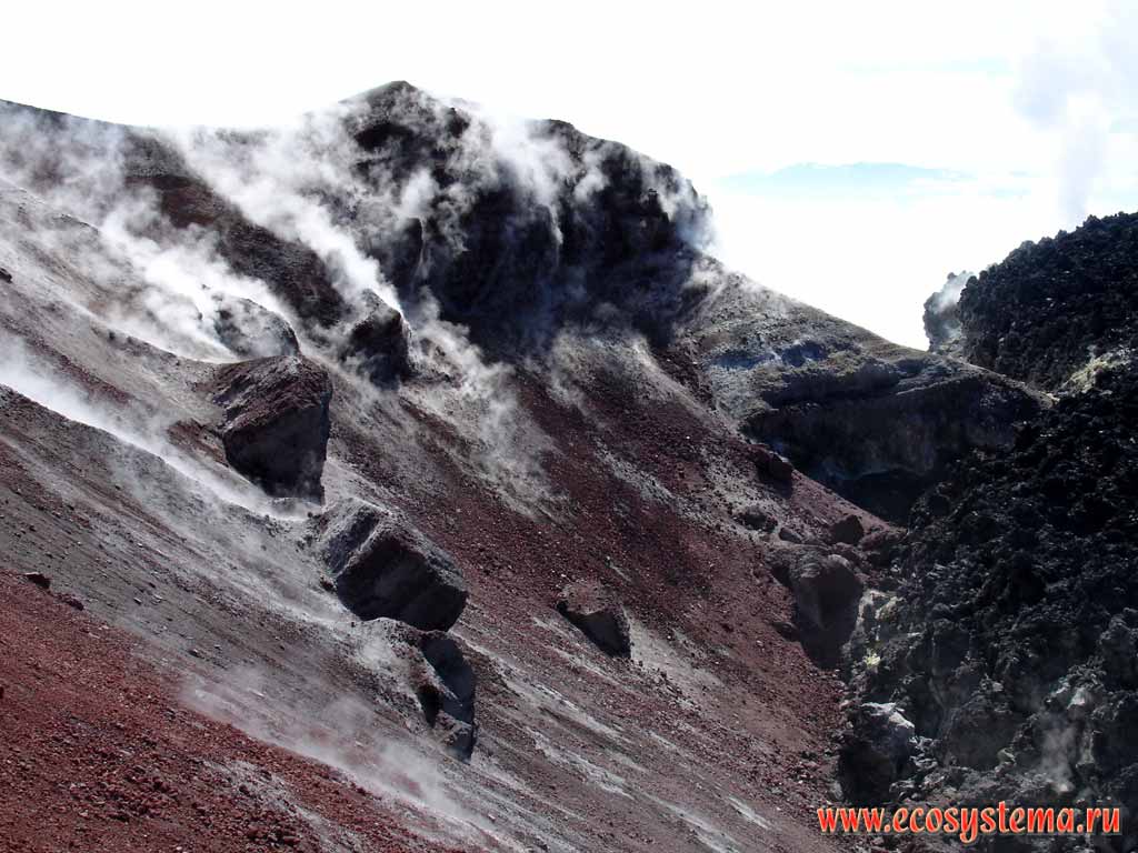 Внутренний склон кратера вулкана Авачинский.
Справа - лавовая пробка