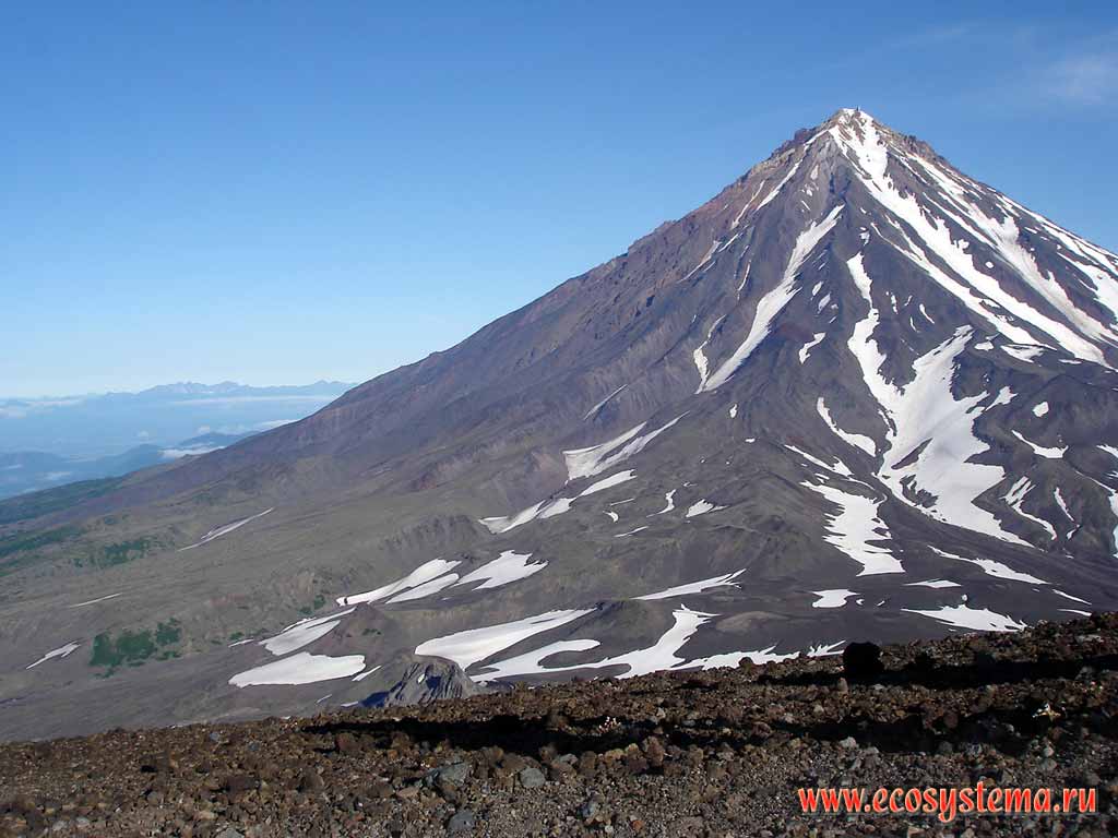 Koriaksky volcano (height - 3456 meters).
View from the neighboring Avachinsky volcano somma (old cone)