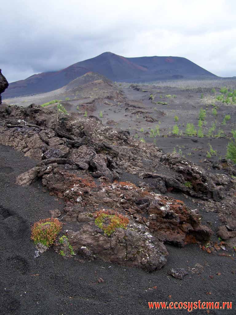 Нагромождения застывшей лавы, оставшиеся после извержения вулкана
Толбачик в 1975-76 гг. (БТТИ)