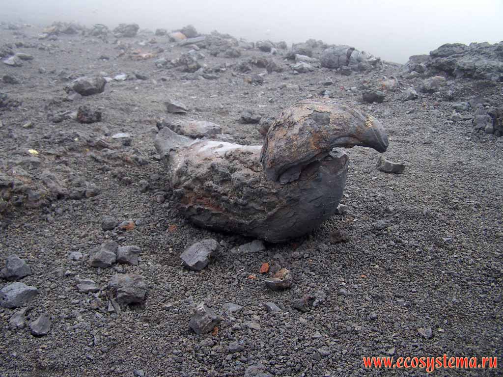 Volcanic bomb. Plosky (Flat) Tolbachik volcano outskirts
